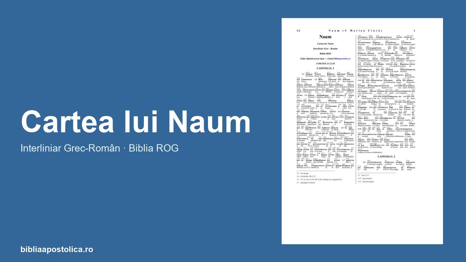 Previzualizare Naum PDF